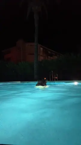 night swims✨ #fyp #foryoupage #fypシ #holiday #spain #2024 #boyfriend #blowthisup #Summer #bf #Love #makemefamous @Ecrokez 