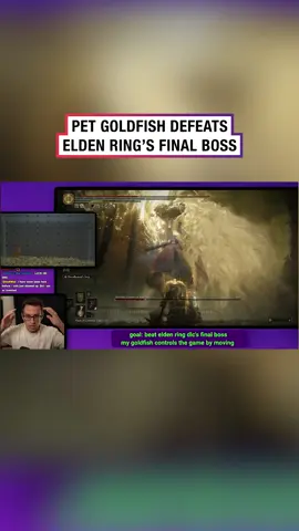 If a goldfish can do it, surely I can too 💀⁠ ⁠ Streamer PointCrow got a goldfish to beat Radahn, Elden Ring's final boss. ⁠ #eldenring #gaming #twitch #streamer