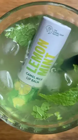 Get ready to quench your senses with the zesty burst of lemon 🍋 and the fefreshing cool mint in our Limonana- inspired balm. Its your new summer sidekick, keeping your lips refreshed and irresistibly hydrated from added canel milk and shea butter 😎!  #foryou #foryoupage #camelsoapfactory #Summer #lipbalms #SustainableBeauty #giftingideas 