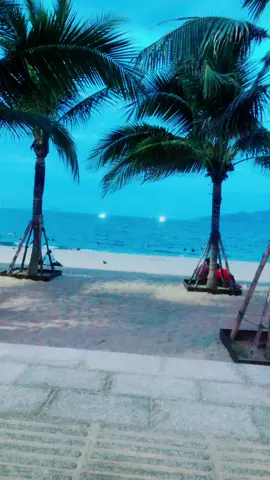 2024 #nhatrangtoiyeu #viral #xuhuongtiktok #xuhuong 