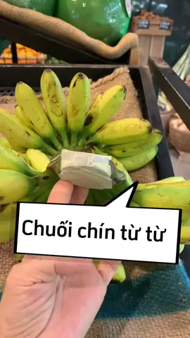 Trả lời @Pluto98 🍀 Giữ chuối tươi lâu, chín từ từ kịp ăn. #coyenmeohay #kocnet 