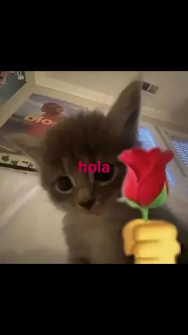 para dedicar 😀 #fyp #fyppppppppppppppppppppppp #foryou #tiktokponmeenparati #dedicar #dedicarvideos♡ #amistad #mybestfriend #CapCut 