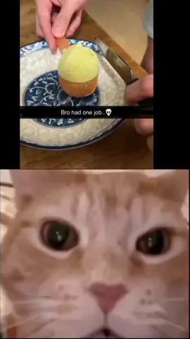 #memes #meme #funnycat #catsoftiktok #kittensoftiktok #catlover #catreacts3 #catlaughing #memestiktok #foryoupage #viral 