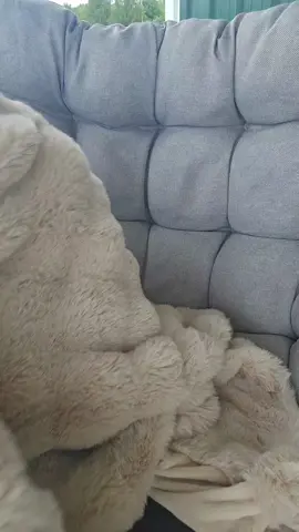 #bestblanketever #sleepinginacloud #supersoft #softestblanketever #tiktokbacktoschoolsale #backtoschool #couchpotato #BookTok 