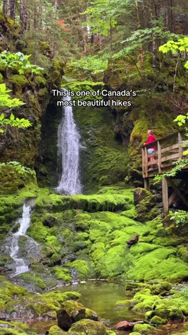 DID YOU GUESS THE LOCATION RIGHT?  This is the 📍Dickson Falls Trail! Located in the Bay of Fundy National Park in New Brunswick, Canada, this hike is mostly a boardwalk trail that wraps around a stream and waterfall! What made this trail so particularly unique were the sounds of nature, from the trickling stream to the chirping birds, it gives a sense of calmness and peace.  This 1.4km loop trail is rated easy. Will you be adding Dickson Falls in New Brunswick, Canada to your hiking bucket list this year? #newbrunswick #dicksonfalls #bayoffundy #hike #hiketok #canada #travel 