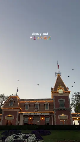 i miss my fav happy place ✨19 days til’ my next trip and i have SO much to do for my outfits 👀 #disneyland #disneyparks #disney #disneyaesthetic #disneylandaesthetic #disneylandcalifornia #aestheticdisney #anaheim #disneyatnight #disneynostalgia #fyp 