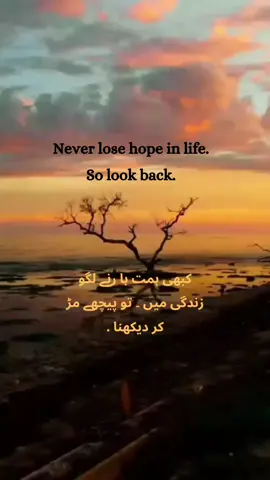 Never lose hope II #english #viralvideo #englishquotes #quotes #motivacional #urduline 