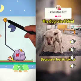 #dog #fyp #pets #foryou #tiktok #dogsoftiktok 