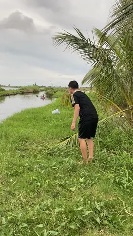 Đồng quê #xuhuong #tiktok #xuhuongtiktok #rạchgiá #anbien #đồngqueyenbinh 