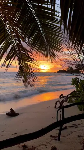 🌞💫🧡 #beach #beachvibes #seychelles #sunset #goldenhour #plage #tropicalisland #coucherdesoleil #view #ocean #beautifuldestinations #goodvibes #sun #viral #calm #foryou #frypgシ #scenery 
