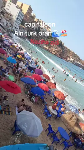 #oran #playa #les_vacances❤❤🌊🏝️🏊 #cap_falcon 🏖🌊🇩🇿