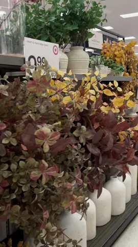 Stopped by target to check out their new Hearth & hand fall home decor collection. I think they did amazing with this collection. The fall stems are really nice and I love the color options. They have some new vases, pillows, canldes and more. I ended up grabbing a few of the rusty fall stems. What would you get from this collection? #fyp #foryoupage #target #targetfallhaul #targetfallfinds #hearthandhand #hearthandhandwithmagnolia #targetfallhaul #targethomedecor #targetfinds #falldecor #fallhomedecor 