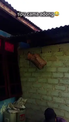 #lucumanggarai #komedi #lucuviral #fypシ゚viral #lucu #viraltiktok  #erika8menit 8menit 