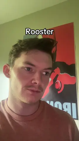 #funny #comedy #joke #rooster #barn #morning #animal #birds 