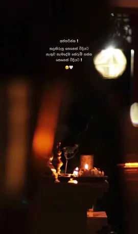 හැමදේම තේරුම් යද්දි කලකිරිලා ඉවරයි 🍃🫂