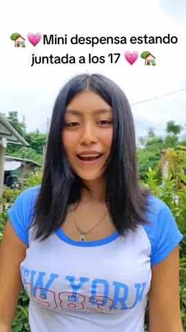 🏡💗Mini despensa💗🏡 #fyp #fypシ゚ #fyp #viral #viralvideo #blogger #parati #tiktok #tiktokviral #amadecasa #despensa 