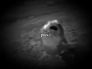 الصراحة الصوت يبچي الصخر #fffffffffffyyyyyyyyyyypppppppppppp #dancewithpubgm #كرنجيه_وافتخر😉😏😍 #اكسبلورexplore #foryoupage #povs #سمجه_غركانه #سمك #سمكة_التونة_العنيدة #povs #كطان_مال_عماره #الشعب_الصيني_ماله_حل😂😂 #موقف_حقيقي #الشعب_الصيني_ماله_حل😂😂🙋🏻‍♂️ #foryou #foryou #fffffffffffyyyyyyyyyyypppppppppppp #foryou #fypシ #dancewithpubgm #dancewithpubgm #greenscreen #trending #tiktokindia #fishing fish