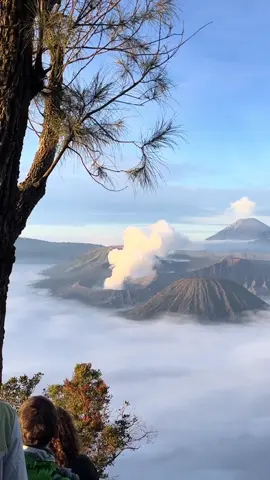 📍Gunung Bromo, Desa Ngadisari, Kecamatan Sukapura Kabupaten Probolinggo... #pesonaindonesia  #wonderdulindonesia  #diindonesiaaja  #gunungbromo  #fyppppppppppppppppppppppp 