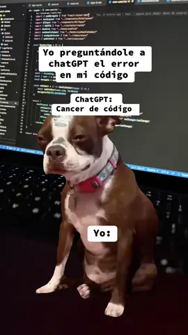 #CapCut #programacion #ingenieria #humor #devs 