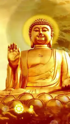 #phatphapnhiemmau🙏🙏🙏 #tu tam dưỡng tánh #adidaphat🙏🙏🙏🙏 #🌺🌺🌹🌹🌸🌸🌻🌻💐💐💮💮🌺🌺 