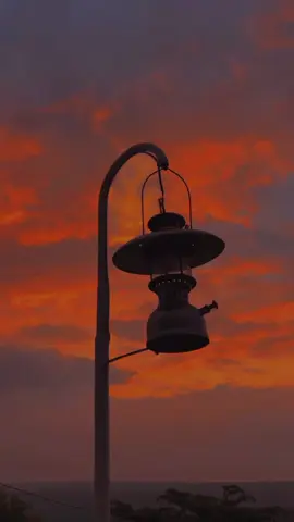 #CapCut bunga indah berduri #misteriilahi #coversulis #sulis #reminderislamic #fypシ゚viral 