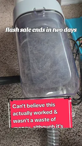 Flash Sale ends in 2 days! idk if the price will drop this low again #dog  #dogsoftiktok  #cat  #catsoftiktok  #pets  #PetsOfTikTok  #foryou  #foryoupage  #viral 