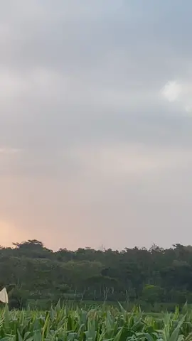 #fizr #masukberanda #fyp #fizrgantengstyle #2taklovers #5kmkagakngejem #fizrindonesia #fizrmodifikasi #2tak 