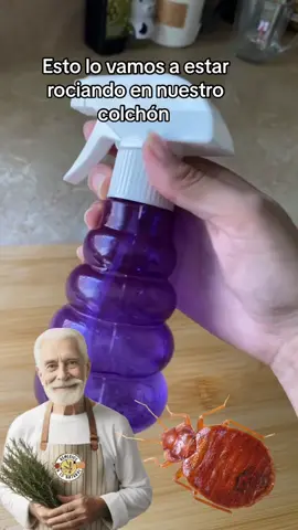 Tienes chinches en tu colchón? Desaste de esos molestos animales de forma casera ! #chinches #remedios #remedioscaseros #remediosnaturales #viral #parati 