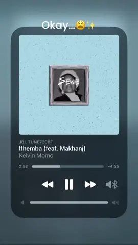 #iThemba #kelvinmomo  #makhanj  #healingmusic 😩🤍✨