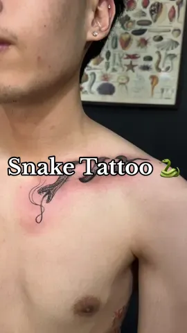 #snake #snaketattoo #snaketattoos #tattoo #tattoos #tattooartist #pattaya #pattayatattoo #pattayatattooshop #pattayabeach #ช่างสักพัทยานาเกลือ #รับสักพัทยา #พัทยานาเกลือ #ร้านสักพัทยา #สัก #ช่างสักพัทยา #ช่างสัก #ร้านสักชลบุรี #สักดอกไม้ #สักลาย #รอยสักผู้หญิง 