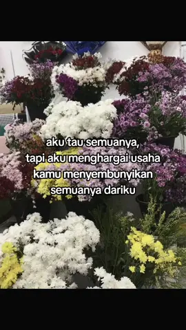 #4u #xyzabc #galaubrutal #ilhamm🦖 