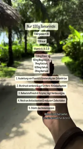 Du kannst die Tamarinde entweder als Paste oder als ganze Frucht online oder im Asiashop in deiner Umgebung in Deutschland kaufen. Wenn du gesund und schlau leben möchtest, folge diesem Profil.🫶🏻 #tamarinde #gesundheit 