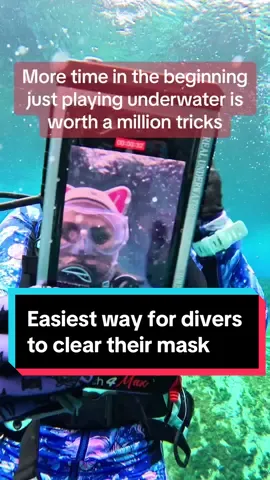 Make no mistake, there are lots of other crucial mask clearing tricks (many of which I’ve covered on this page)… but this must precede them all! I see too many instructors jumping right into skills, fully covered in all the scuba gear. A gradual, phased approach with lots of play time in the beginning before even starting the skills works like magic. This is the way 🤿🎓💦 #scubatiktok #scubainstructor #scubacertification #scubatraining #padi #naui #scubadivingwithkenny 