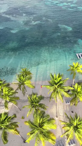 What 3 weeks in guadeloupe looks like 🏝️🐠☀️ #drone #dronevideo #videoedit #island #carribean #971 #guadeloupe 