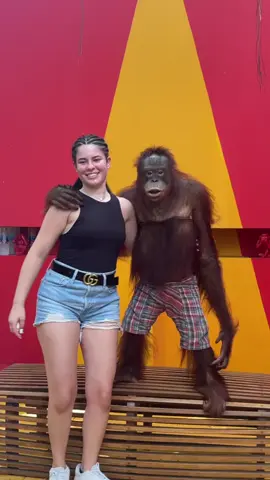 smart monkey with pretty girl 😂🐒🙈🙊🙉 #monkey #animals #monkeys #wildlife #nature #animal #monkeysofinstagram #photography #memes #wildlifephotography #zoo #Love #art #naturephotography #funny #ape #primate #animalphotography #cute #meme #monkeylove #travel #photooftheday #monkeymemes #primates #monkeyseemonkeydo #dankmemes #animallovers #gorilla #monkeyface 