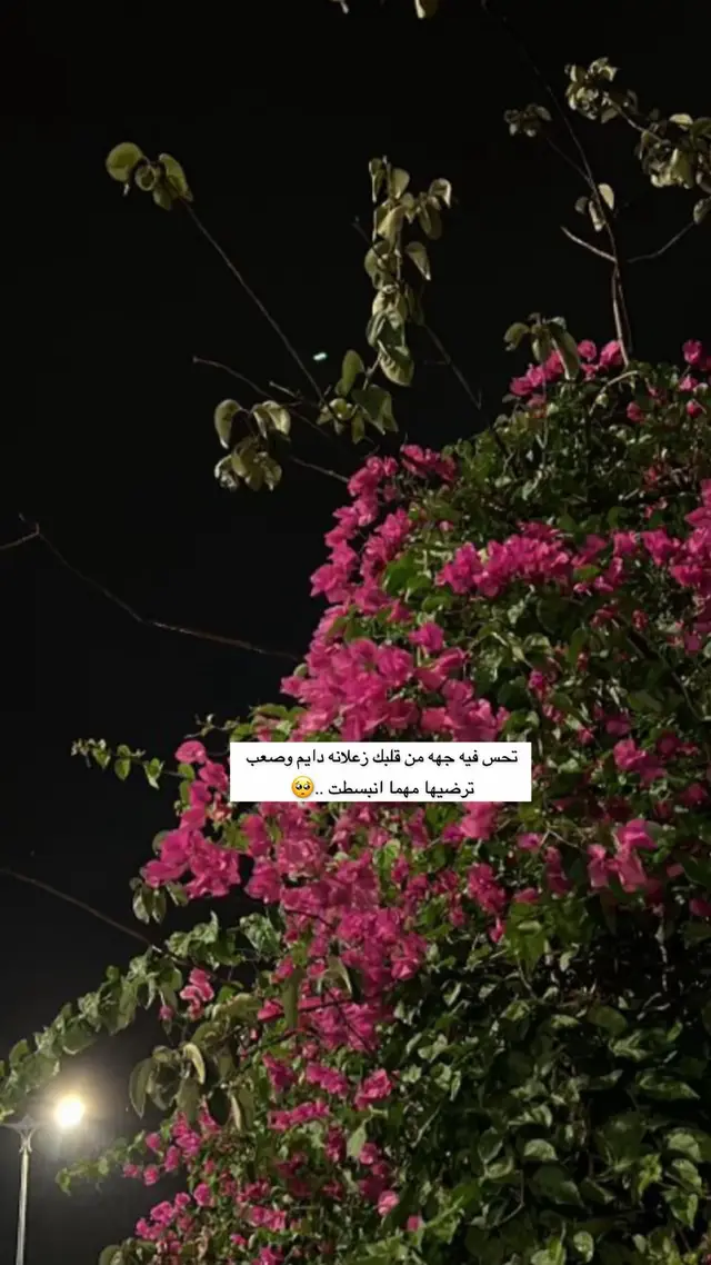 #عشوايات #اكسبلورexplore 