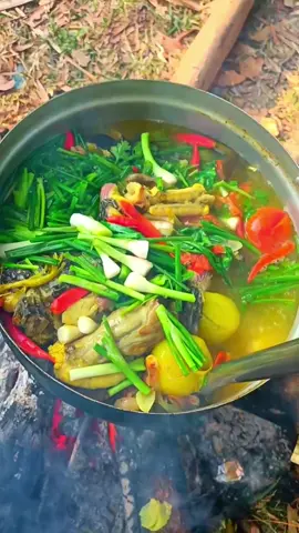 ต้มปลาช่อน#กับข้าวบ้านๆ #เทรนด์วันนี้้ #กับข้าว #เมนูง่ายๆ #กับแกล้ม #กับแกล้ม #วันละเมนู 