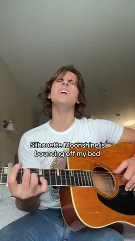 This is an original song called Silhouette Moonshine! I hope you enjoy! #fyp #music #guitar #singing #acousticguitar #folk #singersongwriter #dominickfulco 