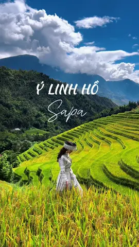 Ý Linh Hồ, Sapa 10/08/2024 #sapatattantat #linhbellatravel #ylinhhovillage #banylinhho #combosapa #sapamualua 