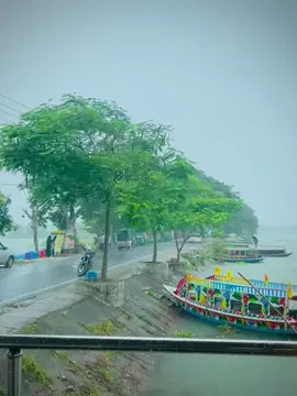তোমার বৃষ্টিত ভিজতে কেমন লাগে? #foryou #mdjihadmiah70 #বাসুলিয়া #basail_tangail #বাসুলিয়া_চাপড়াবিল_বাসাইল_টাংগাইল @ Chikna _Jisan 🤖 