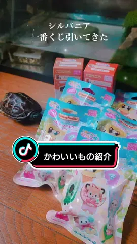 8月10日発売だよ🐢 #ヒカキンボイス #一番くじ #シルバニアファミリー #クサガメ 