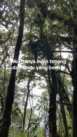 🍃🍃🍃#fyp #fypシ゚viral #pendakigunung 