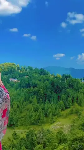 Akhkoli da aw tol okhkoli allai queen foryoupage  pr waw #allaiqueen #virlvideo #foryourpage 