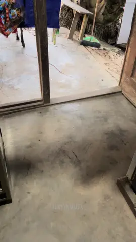 Gimanalah coba ini weee #doggy #dogsoftiktok #fypシ゚viral #anjingliar 