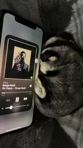 😔🎧 #fyp #4u #music #sugarglider 