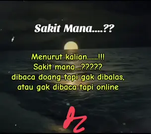 Sakit mana menurut kalian dibaca doang  tapi gak di bls atau gak dibaca tapi online  #online  #galau  #pyfツ  #fypシ゚viral 
