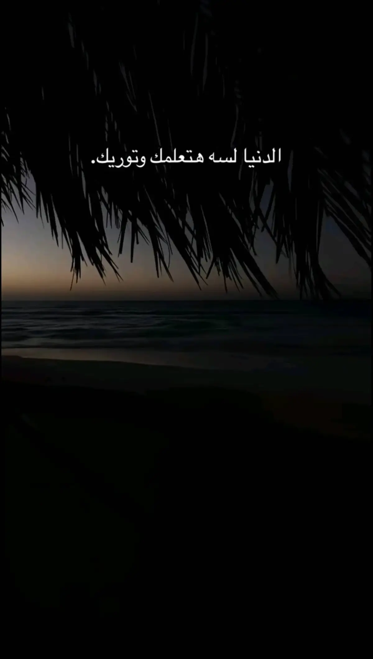 #حالات_واتس #fyp #foryoupage #k_a_r_e_e_m_r64 #ترند 
