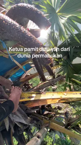 Sampai jumpa#tag 