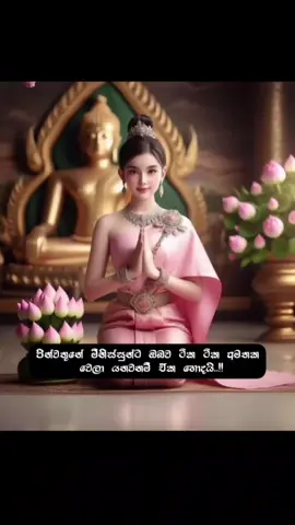 #අවසන්_වෙනකම්_අහාන්න😇🙏🌼#උතුම්_ධර්ම_දානය_පිණිසයි🙏☸️#බුදුපියාණන්_වහන්සේට_මාගේ_නමස්කාරය_වේවා🙏🌏🥺🙏#viralvideo#trandingvideo#fyp#foryou#foryoupage#1millionviews#1millionaudition#1millionvideo#buddha_status455#නොපමාව_කුසල්_රැස්කර_ගන්න#සියලු_දෙවි_රැකවරණය_ලැබෙවා🙏 @𝑨𝒔𝒉𝒚𝒂 ✨💗🧚 @Sanjaya Bandar 🤘🙈❤️‍🩹 @룩산_윅르므싱흐 @🥺💞nimsara💞🥺 @Hirushan Rasanjana 