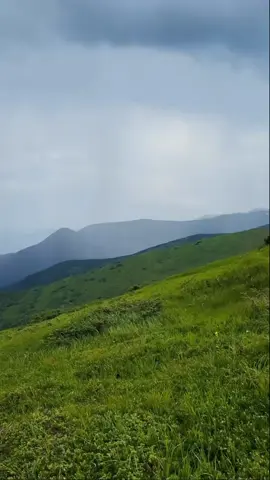 Никакого негатива, только мр пэнис #wellwell #wellwellwell #велвел #мрпенис #hoi4 #пиво 